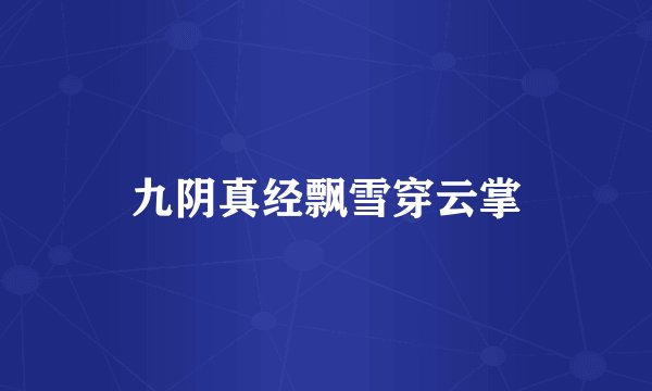 九阴真经飘雪穿云掌