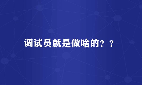 调试员就是做啥的？？