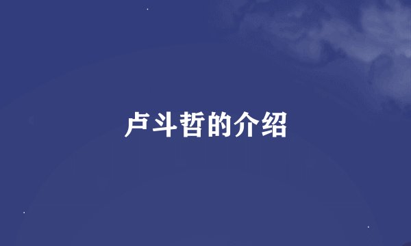 卢斗哲的介绍