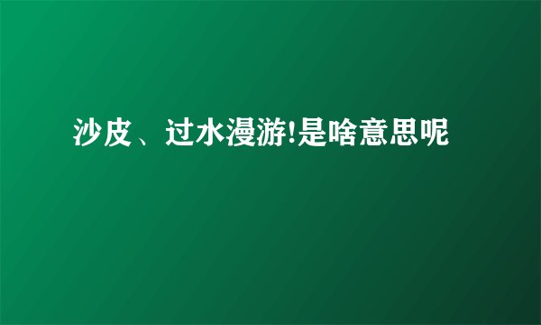 沙皮、过水漫游!是啥意思呢