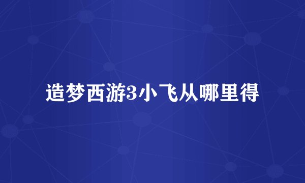 造梦西游3小飞从哪里得