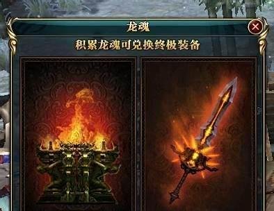 御龙在天龙魂怎么用