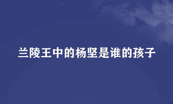 兰陵王中的杨坚是谁的孩子