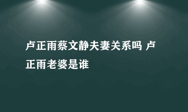 卢正雨蔡文静夫妻关系吗 卢正雨老婆是谁
