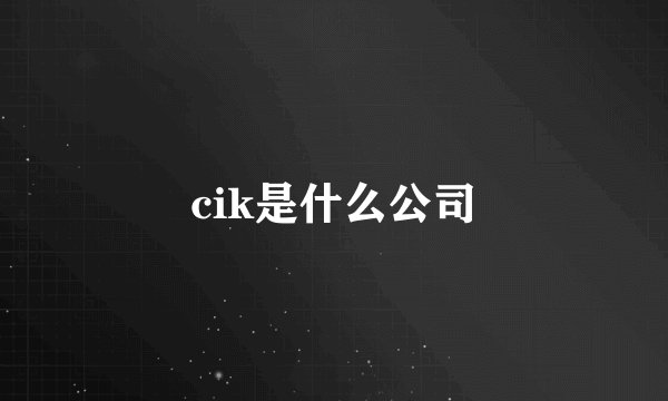 cik是什么公司