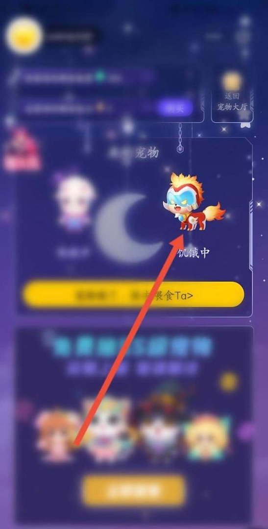 qq宠物在哪里