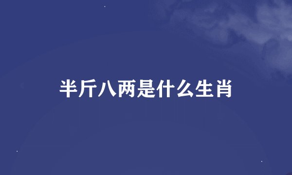 半斤八两是什么生肖