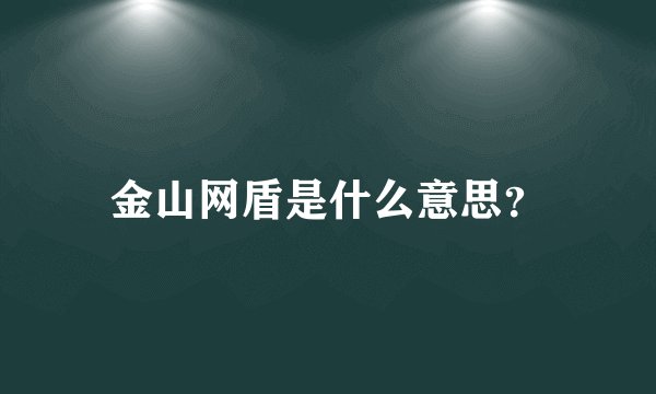 金山网盾是什么意思？