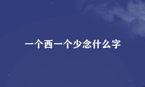 一个西一个少念什么字