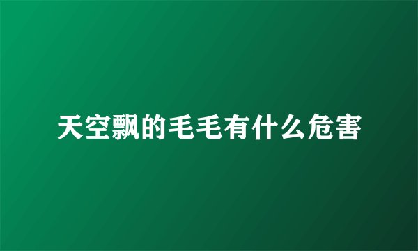 天空飘的毛毛有什么危害