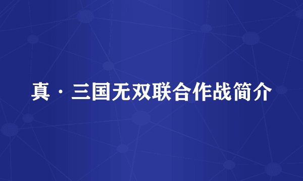 真·三国无双联合作战简介