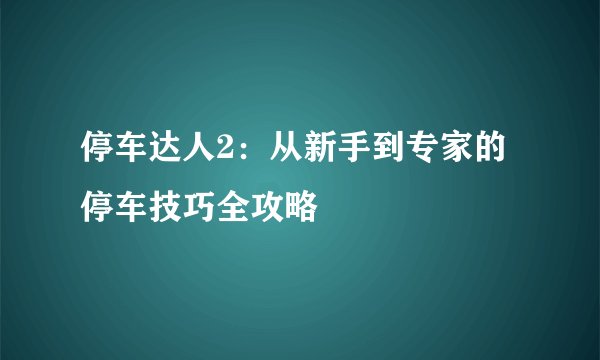 停车达人2：从新手到专家的停车技巧全攻略