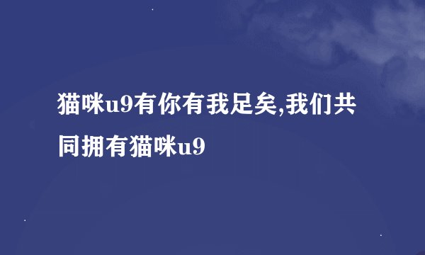 猫咪u9有你有我足矣,我们共同拥有猫咪u9
