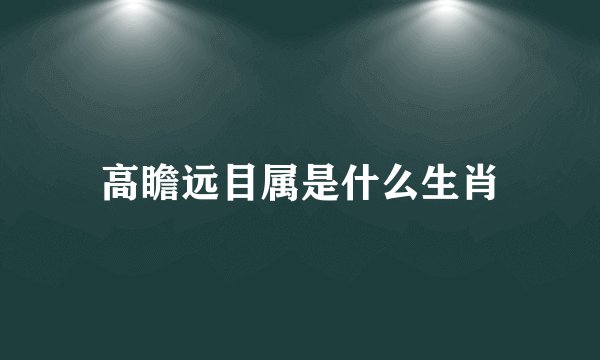 高瞻远目属是什么生肖
