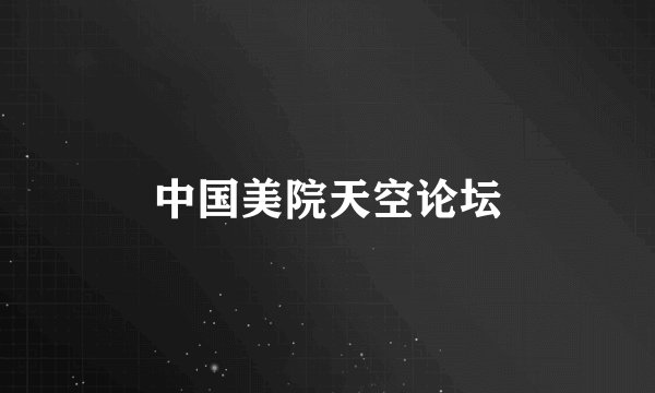 中国美院天空论坛