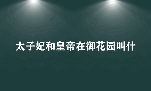 太子妃和皇帝在御花园叫什