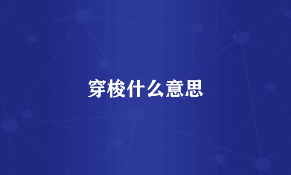 穿梭什么意思