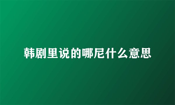 韩剧里说的哪尼什么意思