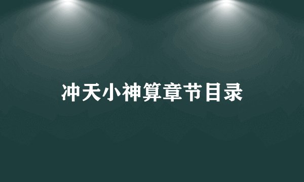 冲天小神算章节目录