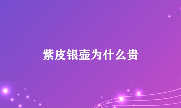 紫皮银壶为什么贵