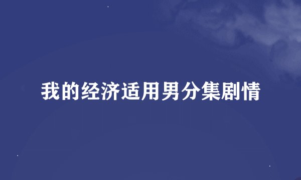 我的经济适用男分集剧情