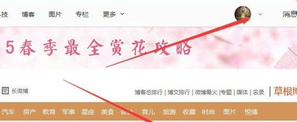如何用新浪博客发文章