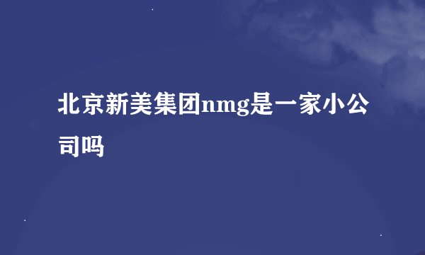 北京新美集团nmg是一家小公司吗