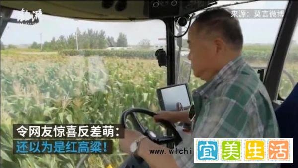 莫言get开收割机新技能 这是咋情况?