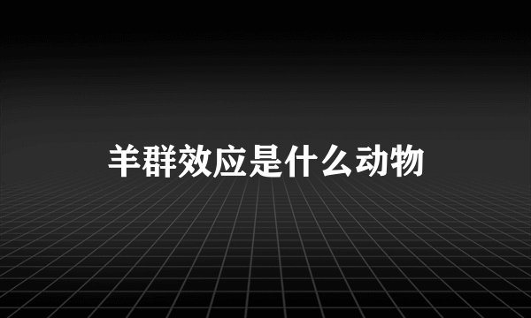 羊群效应是什么动物