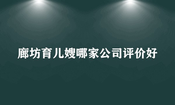 廊坊育儿嫂哪家公司评价好