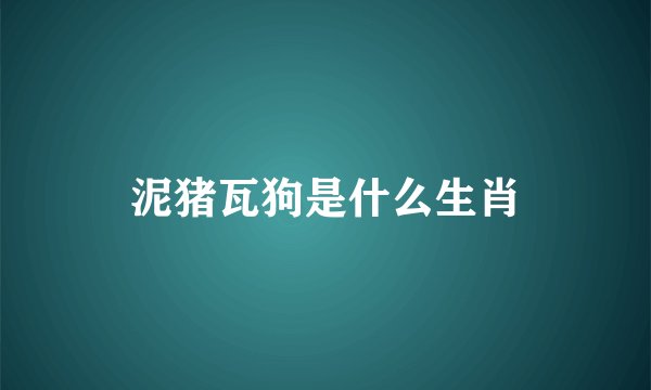 泥猪瓦狗是什么生肖