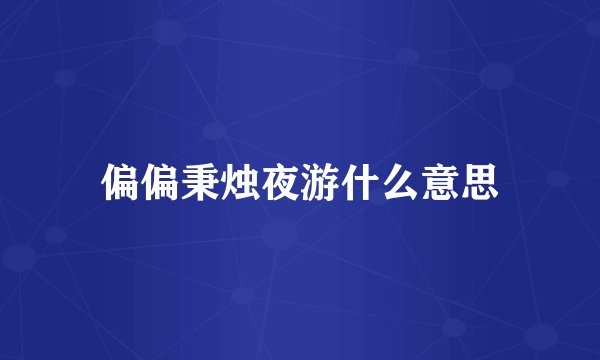 偏偏秉烛夜游什么意思