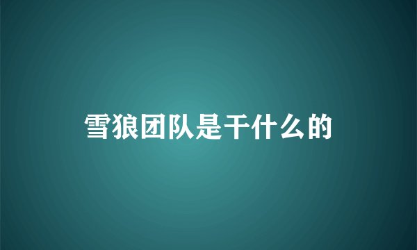 雪狼团队是干什么的