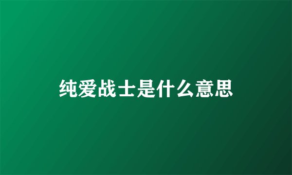 纯爱战士是什么意思