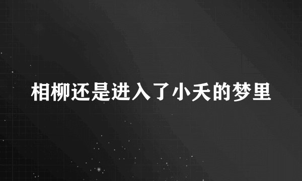 相柳还是进入了小夭的梦里