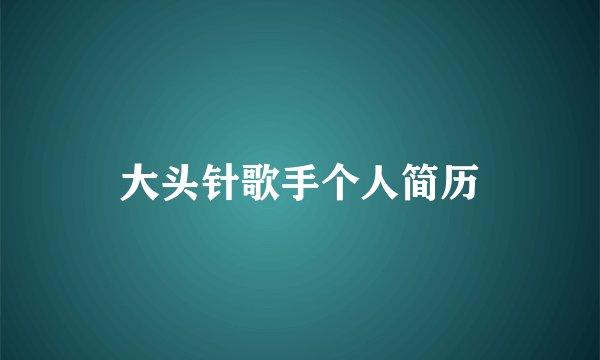 大头针歌手个人简历