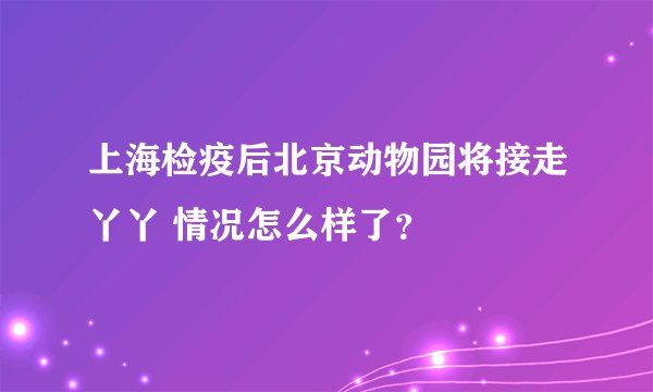 上海检疫后北京动物园将接走丫丫 情况怎么样了?