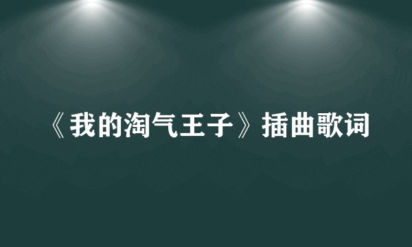 《我的淘气王子》插曲歌词