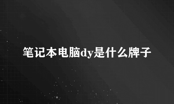 笔记本电脑dy是什么牌子