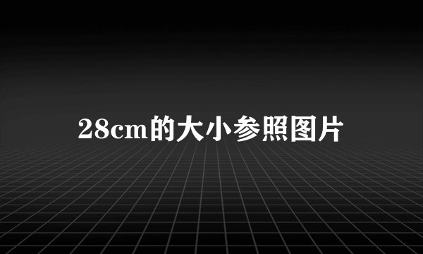 28cm的大小参照图片