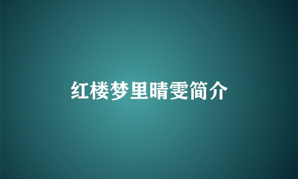 红楼梦里晴雯简介