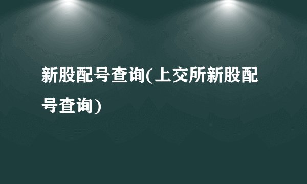 新股配号查询(上交所新股配号查询)