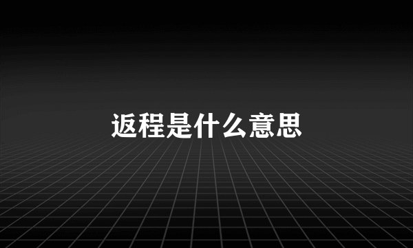 返程是什么意思