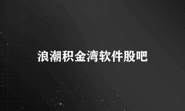 浪潮积金湾软件股吧
