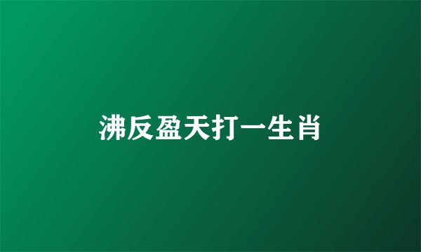 沸反盈天打一生肖