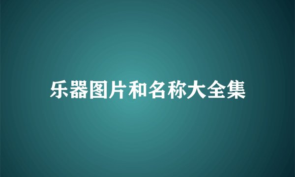 乐器图片和名称大全集