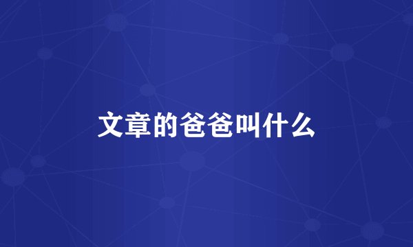 文章的爸爸叫什么