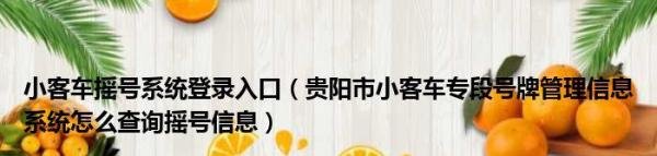 小客车摇号系统登录入口_贵阳市小客车专段号牌管理信息系统怎么查询摇号信息介绍