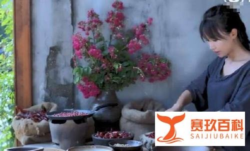 看了这么久的抖音，才发现李子柒的成功居然可以复制