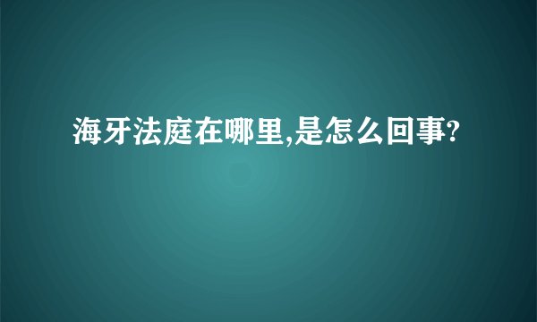 海牙法庭在哪里,是怎么回事?
